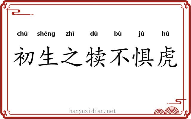 初生之犊不惧虎