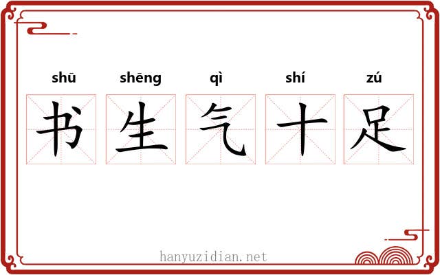 书生气十足