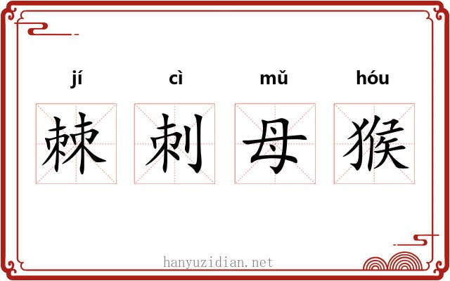 棘刺母猴