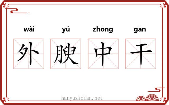 外腴中干
