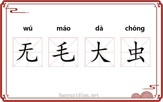 无毛大虫
