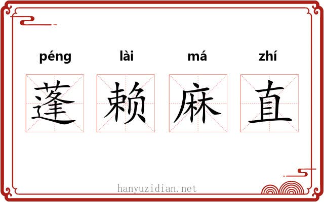 蓬赖麻直