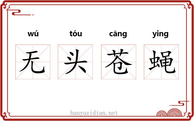 无头苍蝇