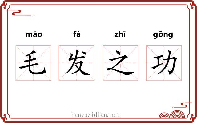 毛发之功
