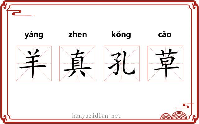 羊真孔草