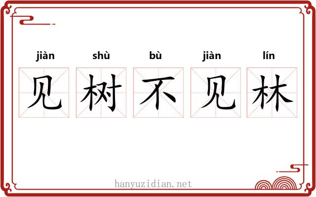 见树不见林