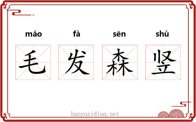 毛发森竖