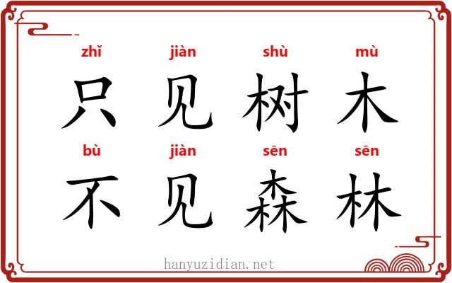 只见树木，不见森林