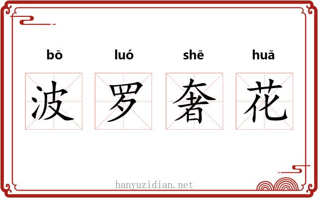 波罗奢花