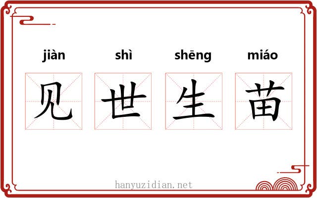 见世生苗