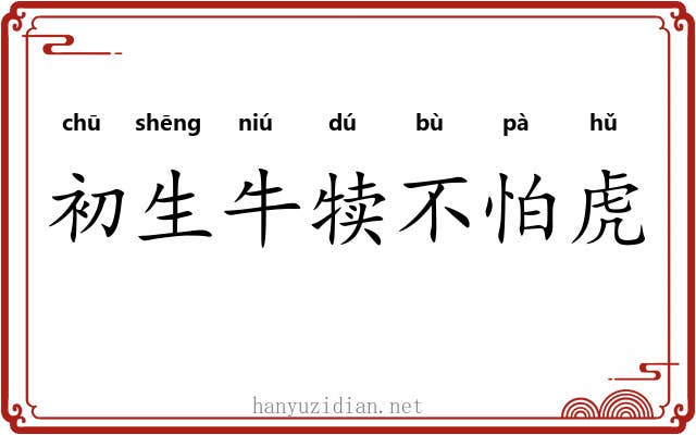 初生牛犊不怕虎