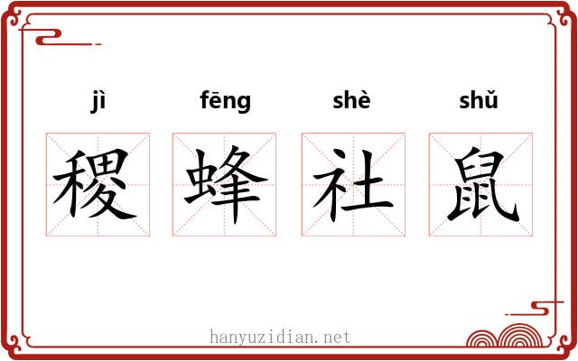 稷蜂社鼠