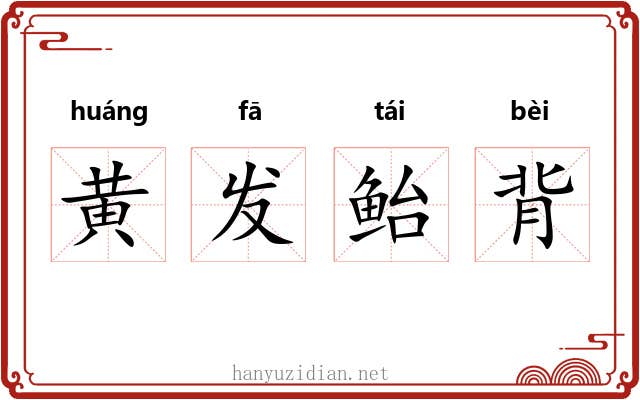 黄发鲐背
