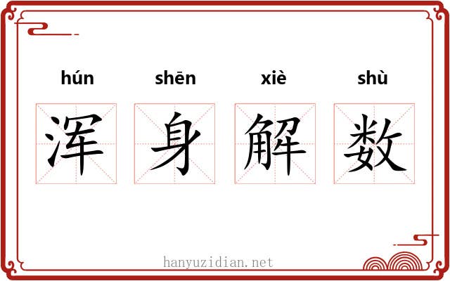 浑身解数