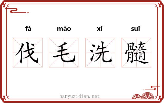 伐毛洗髓