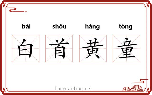 白首黄童