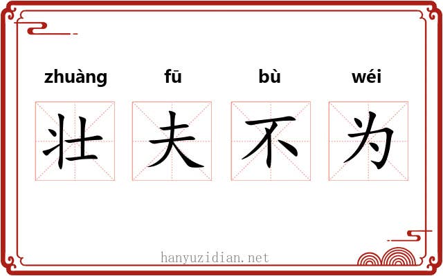 壮夫不为