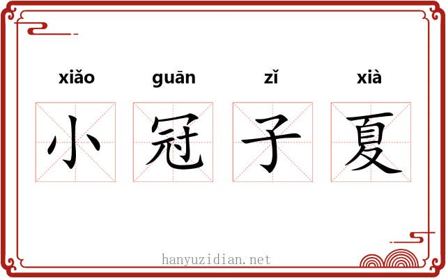 小冠子夏