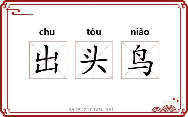 出头鸟