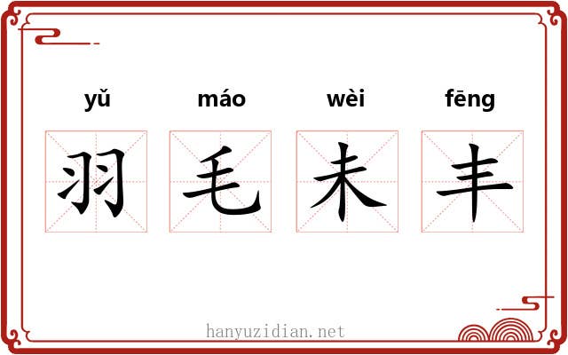 羽毛未丰