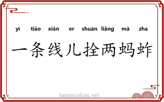 一条线儿拴两蚂蚱