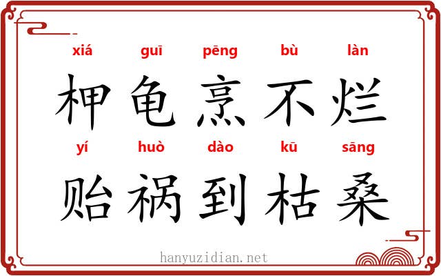 柙龟烹不烂，贻祸到枯桑