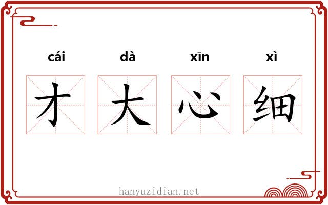 才大心细