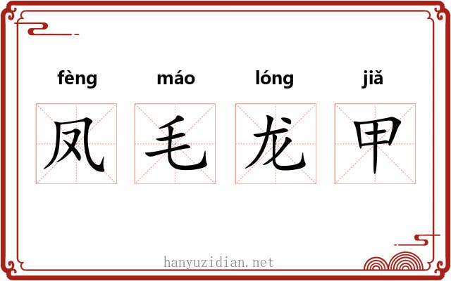 凤毛龙甲