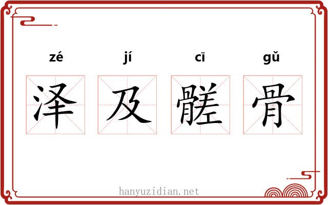 泽及髊骨