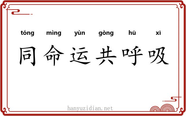 同命运共呼吸