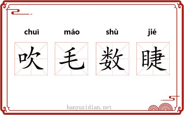吹毛数睫
