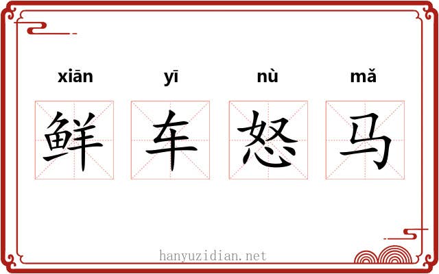 鲜车怒马