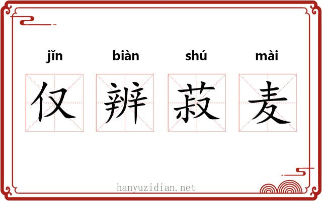 仅辨菽麦