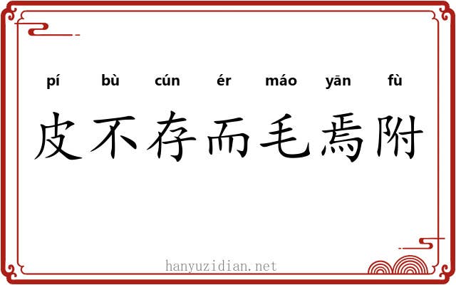 皮不存而毛焉附