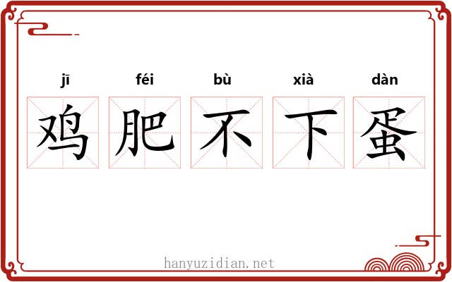鸡肥不下蛋