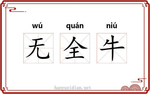无全牛