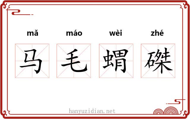 马毛蝟磔