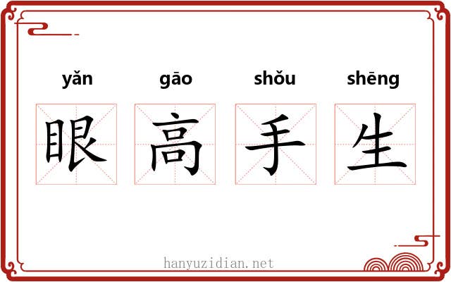 眼高手生