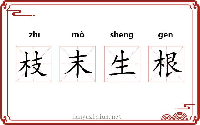 枝末生根