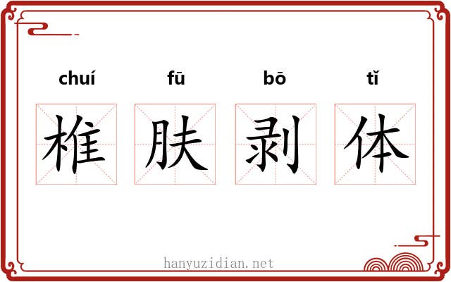 椎肤剥体