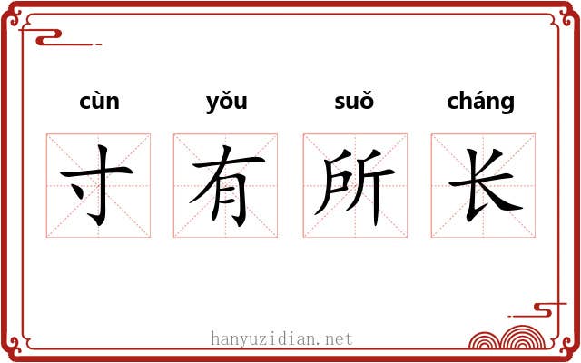 寸有所长