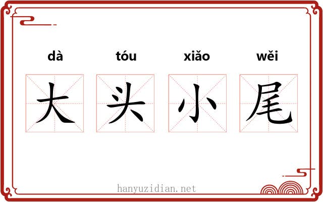 大头小尾
