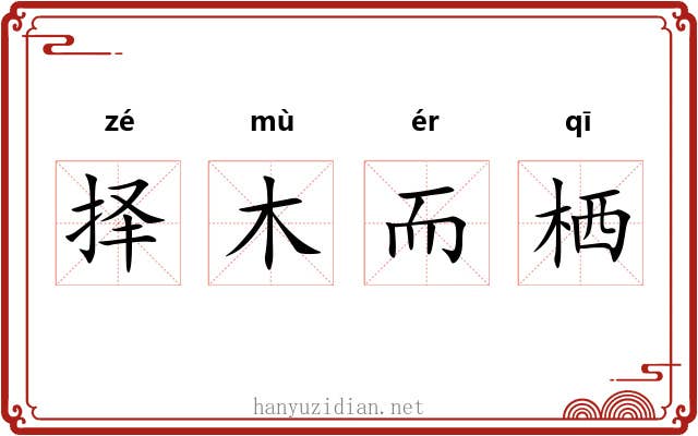 择木而栖