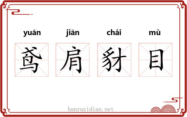 鸢肩豺目