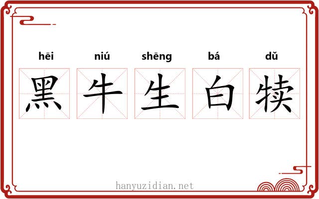 黑牛生白犊