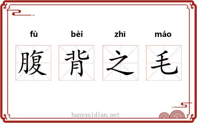 腹背之毛