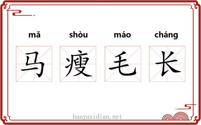马瘦毛长