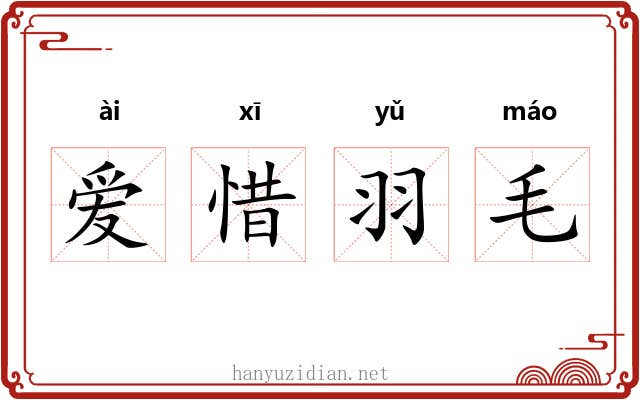 爱惜羽毛