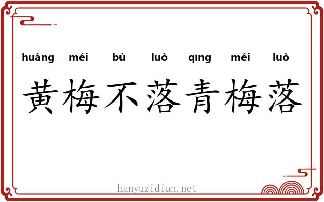 黄梅不落青梅落