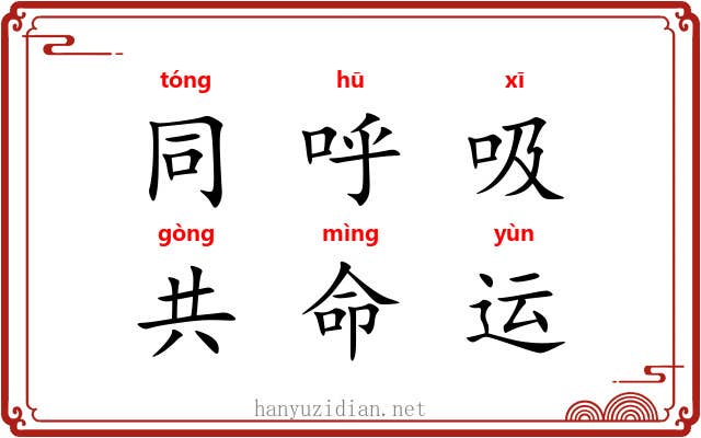 同呼吸，共命运